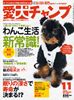 （株）芸文社:愛犬チャンプ2006年11月号