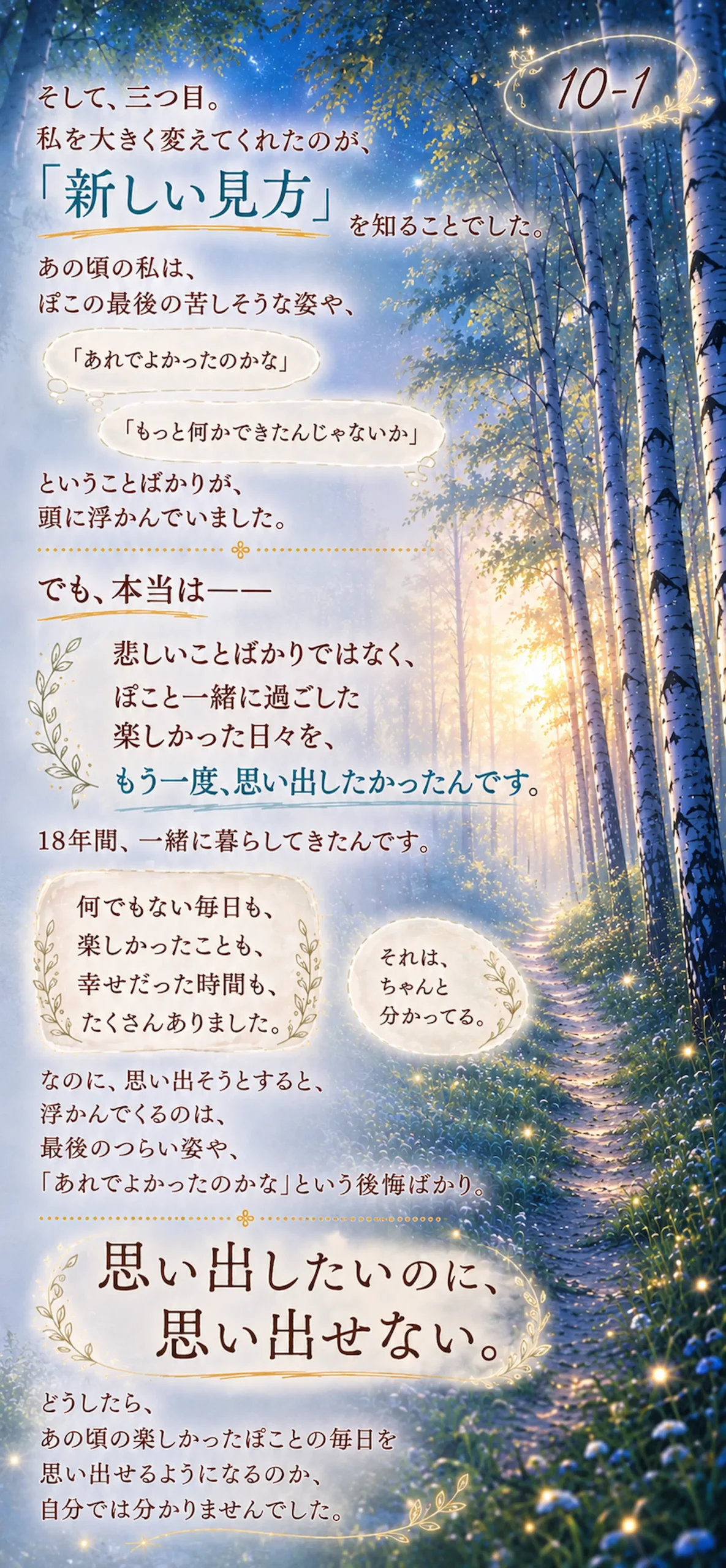 そして、三つ目。私を大きく変えてくれたのが、「新しい見方」を知ることでした。あの頃の私は、ぽこの最後の苦しそうな姿や、「あれでよかったのかな」「もっと何かできたんじゃないか」ということばかりが、頭に浮かんでいました。でも、本当はーー、悲しいことばかりではなく、ぽこと一緒に過ごした楽しかった日々を、もう一度、思い出したかったんです。18年間、一緒に暮らしてきたんです。何でもない毎日も、 楽しかったことも、幸せだった時間も、たくさんありました。それは、ちゃんと分かってる。なのに、思い出そうとすると、浮かんでくるのは、最後のつらい姿や、「あれでよかったのかな」という後悔ばかり。思い出したいのに、思い出せない。どうしたら、あの頃の楽しかったぽことの毎日を思い出せるようになるのか、自分では分かりませんでした。