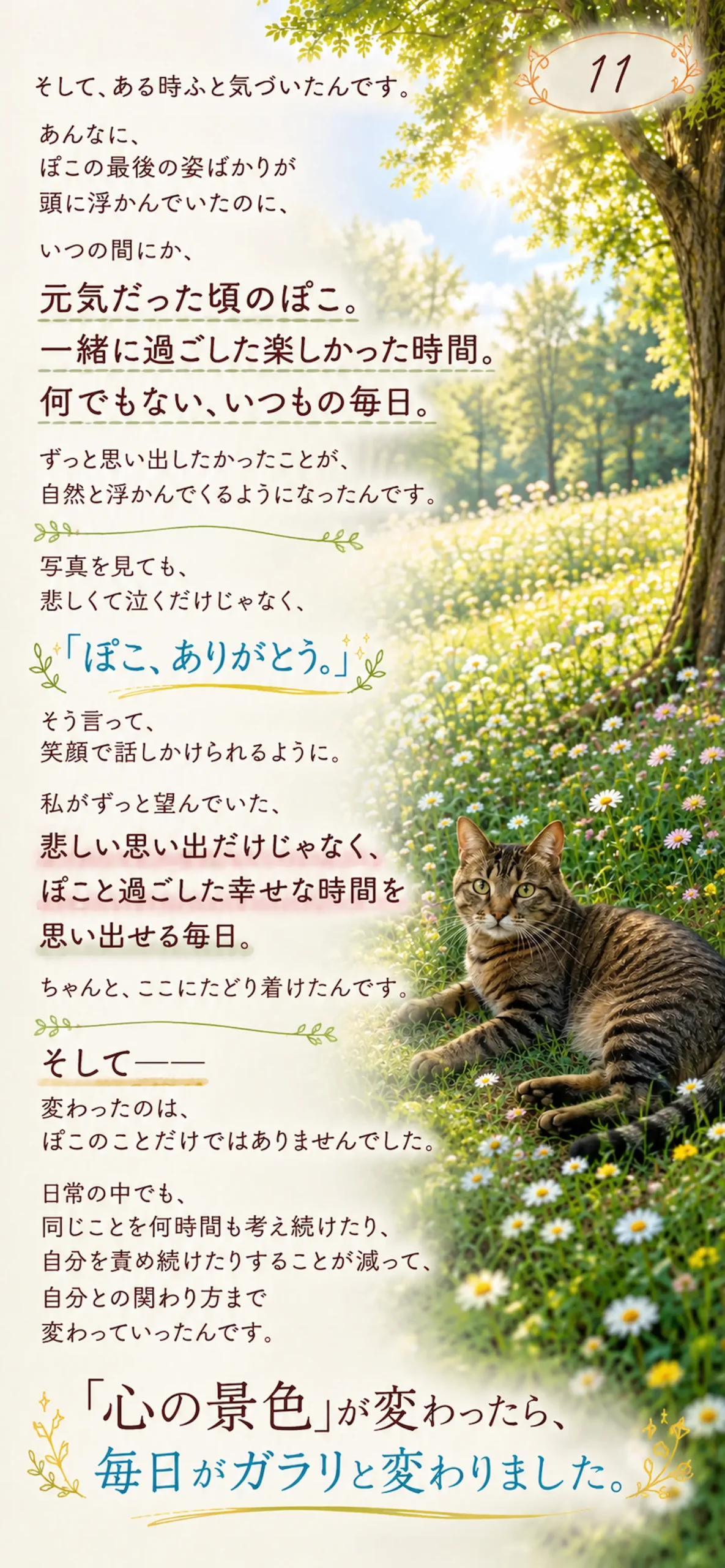 そして、ある時ふと気づいたんです。あんなに、ぽこの最後の姿ばかりが頭に浮かんでいたのに、いつの間にか、元気だった頃のぽこ。一緒に過ごした楽しかった時間。何でもない、いつもの毎日。ずっと思い出したかったことが、自然と浮かんでくるようになったんです。写真を見ても、悲しくて泣くだけじゃなく、「ぽこ、ありがとう。」そう言って、笑顔で話しかけられるように。私がずっと望んでいた、悲しい思い出だけじゃなく、ぽこと過ごした幸せな時間を思い出せる毎日。ちゃんと、ここにたどり着けたんです。そしてーー変わったのは、ぽこのことだけではありませんでした。日常の中でも、同じことを何時間も考え続けたり、自分を責め続けたりすることが減って、自分との関わり方まで変わっていったんです。「心の景色」が変わったら、毎日がガラリと変わりました。